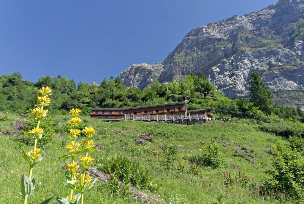refuge du folly
