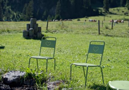 jardin - cantine des dents blanches