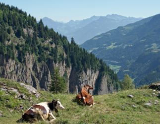 en quittant le plateau de Barmaz