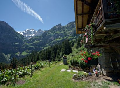 refuge de bonaveau -panorama