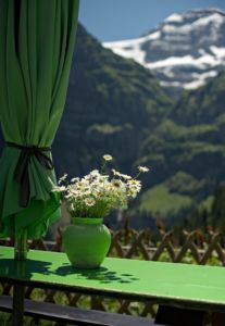 décoration extérieure - refuge de bonaveau