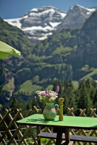 panorama alpes suisses