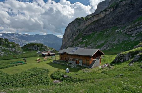magnifique jardin du refuge