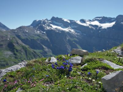 en descendant du col des chambres