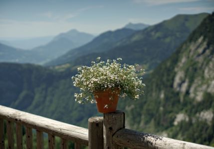 balcon fleuri, alpes françaises