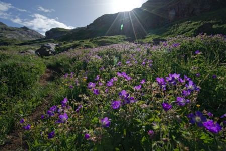 en direction de la pointe droite
