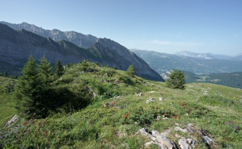 panorama à la bifurcation pour la tête de bostan
