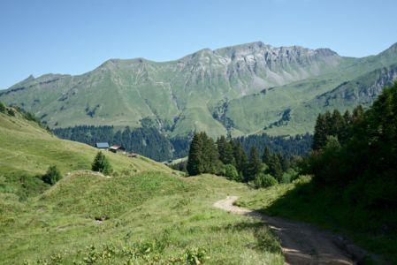 entre la golèse et chardonnière
