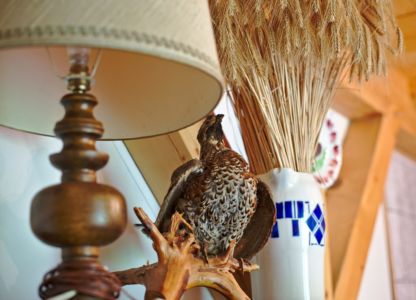 la décoration typique et soignée