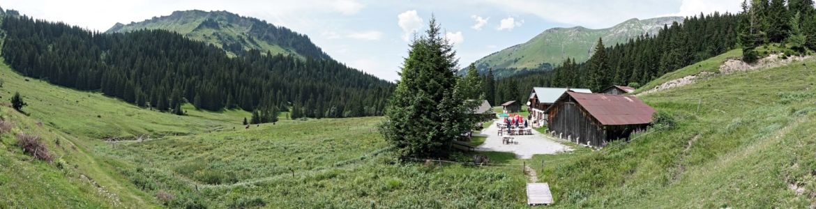 panorama - chardonnière