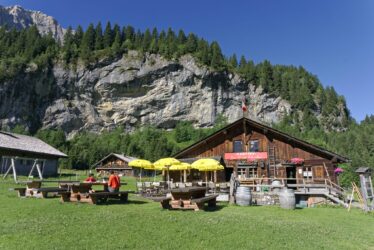cantine des dents blanches