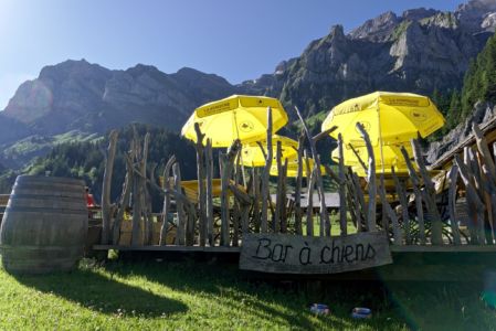 bar à chien - cantine des dents blanches