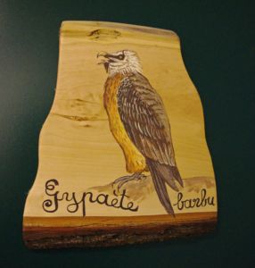 chambre gypaète - vogealle